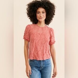 Anthropologie Velvet Lace Shirt